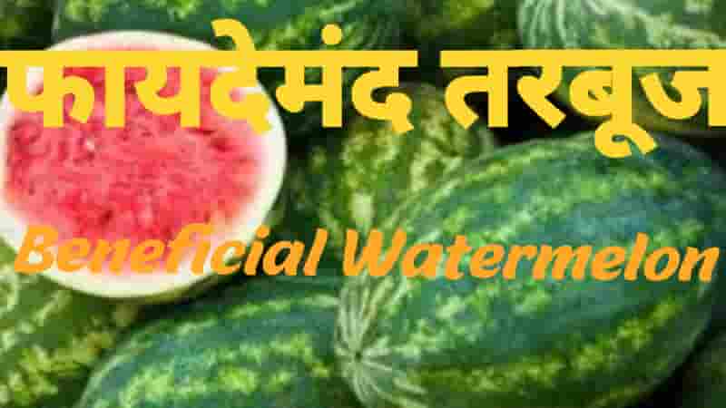फायदेमंद तरबूज Beneficial Watermelon